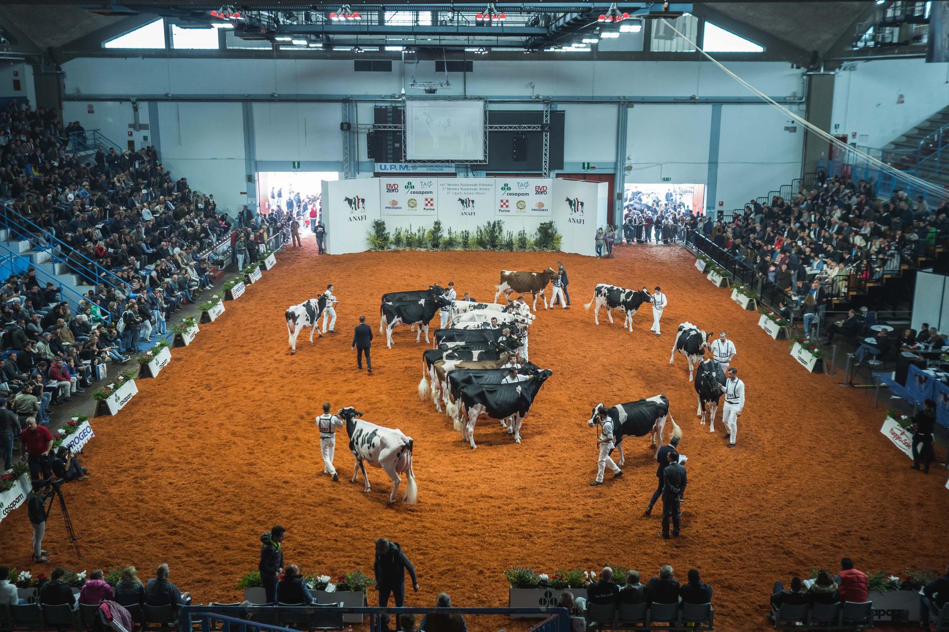 Cremona International Livestock Show